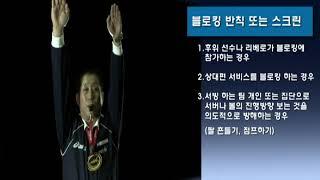 심판법