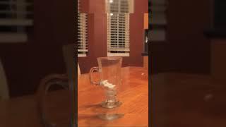 Turn iPhone into Coca-cola Can magic trick #short #trending #trendingshorts