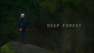 Deep Forest Cinematic Video - Latvia - Panasonic Lumix S5IIX - Helios 44/2 - Jupiter 21M