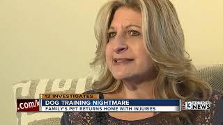 Family dog injured in 'Sit Means Sit' obedience training