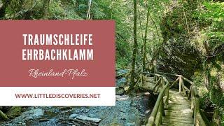 Traumschleife Ehrbachklamm | Wanderung in Rheinland-Pfalz | Little Discoveries