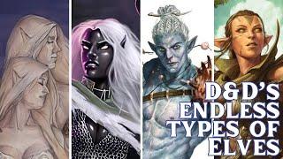 Why Are There So Many Elf Subraces?