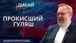 Пендель, или Переругавшись со всеми. Андрей Ермолаев. Дикий LIVE.