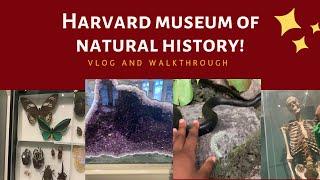 Harvard Museum of Natural History! Vlog and Walkthrough 