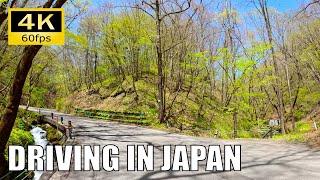 【Driving in Japan】Shiraito Highland Way : Karuizawa - Minenochaya, Nagano [Insta 360 Ace Pro 4K60P]