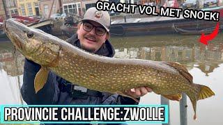 DE GRACHT LAG VOL MET SNOEK! - Provincie Challenge met @vismeester