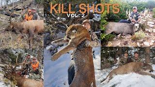 UNREAL HUNTING KILL SHOT COMPILATION!! Vol. 2