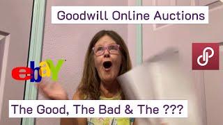 Goodwill Online Auctions || Good, Bad & || To Resell on eBay, Poshmark & Mercari