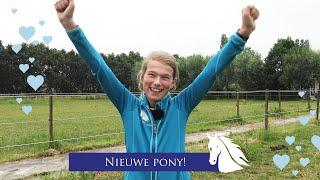 Nieuwe pony voor Tessa!!!! -pony kopen- * Hart voor Paarden *