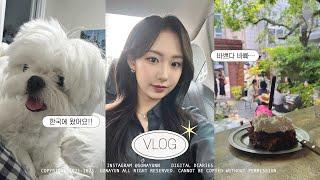 (cc) 𝐕𝐋𝐎𝐆| 뉴욕 직장인은 한국 갈 때 이런걸 합니다… 얼굴관리, 경락, 쇼핑 바쁘다 바빠