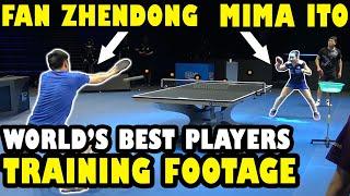 Ma Long, Fan Zhendong & More | Training | T2 Diamond 2019