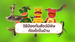 วิธีป้องกันสัตว์มีพิษกัดเด็กในบ้าน : เกร็ดน่ารู้กับตาต้าตีตี้โตโต้ (22 ก.พ. 63)