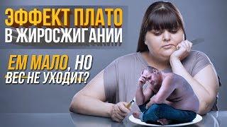 Почему вес стоит на месте? ЭФФЕКТ ПЛАТО