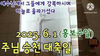 오늘미사《2025.6.1 주님승천대축일/홍보주일》매일미사/복음묵상/오늘강론