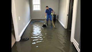 Carpet Flood Clean Up  A Comprehensive Guide