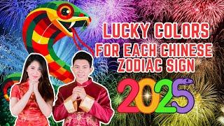 Lucky Colors For Each Chinese Zodiac Sign in 2025 | Ziggy Natural