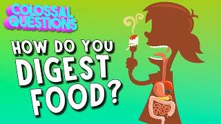 How Do You Digest Food? | COLOSSAL QUESTIONS