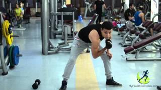 Standing Concentration Curl (Fitness Model And Trainer Ed Igityan)