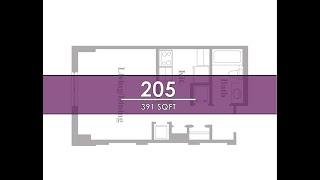 Studio 205 (391 SqFt )