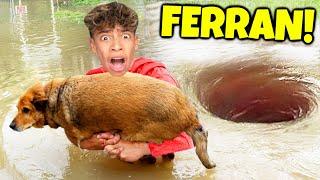 7 YouTubers Who SAVED ANIMALS LIVES! (The Royalty Family, Salish Matter, Ferran)