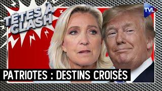 Trump - Le Pen : les patriotes dans tous leurs états - Têtes à Clash - TVL