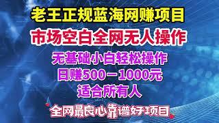 老王正规蓝海网赚项目全网收学员独家网络赚钱技术全部无保留教学包教包会，全网无人操作无基础小白轻松操作日赚500+适合所有人操作简单易学上手快！