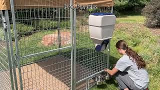 Individual Pro Dog Kennel Panels