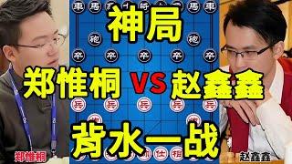 郑惟桐vs赵鑫鑫 一个陷阱不不够 那再来十个 终于上当了【四郎讲棋】