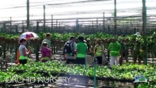 agrotour 5 720p