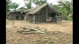 EXPEDIÇÃO PANTANAL   COLETÂNEA