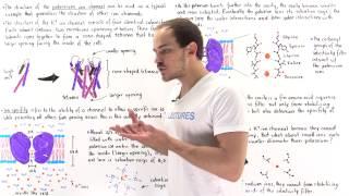 Ion Specificy and Structure of Ion Channels