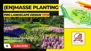 PRO LANDSCAPE design TIPS! mass plantings