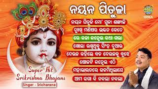 NAYANA PITULA ନୟନ ପିତୁଳା  Superhit Krushna Bhajan Audio Jukebox | Sricharana | World Music