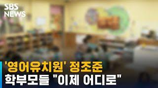 월 175만 원 영어유치원 정조준…학부모들 "이제 어디로" / SBS