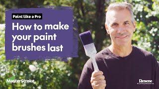 Paint like a Pro - How to make your paint brushes last