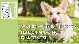 WARUM FUTTERMOTIVIERTES HUNDETRAINING NICHT FUNKTIONIERT! ️ LÖSUNG IM PRAXISVIDEO ️