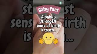 First Touch: Babies' Sensory Superpower! #EmotionalFact  #HugLife #babyfacts #holisticparenting