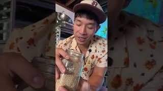 Understanding Spice: Sesame Seeds