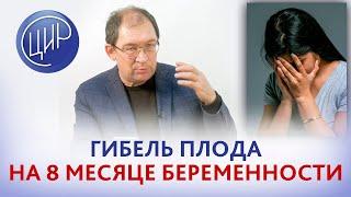 Антенатальная гибель плода на 8 месяце беременности. Как не допустить повторения. Гузов И.И.