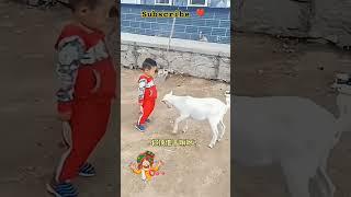 ️ little cute baby funny shorts video #funny #funnybaby #tcm viral video 95