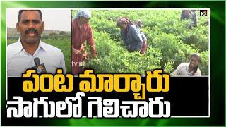 పంట మార్చారు...సాగులో గెలిచారు | Success Story of Green Chilli Cultivation | Anantapur | 10TV