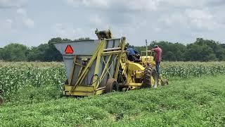 Green bean Picker working in the field