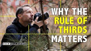 5 Tips to Use the RULE OF THIRDS Like a Professional Photographer