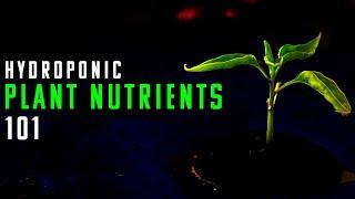 Hydroponic Nutrients: What do they do, and how do I use them?