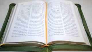 Green Arabic Language Luxury Leather Bound Bible