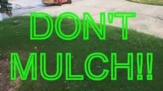 How to Fall and Winter care for Bermuda grass lawns