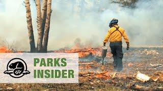 Fire management at Wood Buffalo National Park