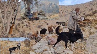 Iran nomadic life: Jahangir goes to the mountains due to lack of fodder