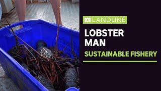 Lobster Man: The Eastern Rock Lobster fishery of NSW | ABC News