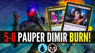 Is this UNDEFEATED Dimir Burn Deck Actually a SCAM in MTG Pauper?